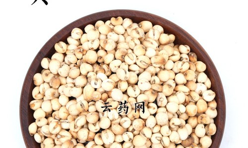 白桑椹的功效网 | 白桑椹的功效和作用,白桑葚百度百科