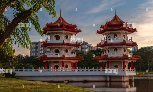 白桑葚百度百科-白桑椹的功效网 | 白桑椹的功效和作用,白桑葚百度百科