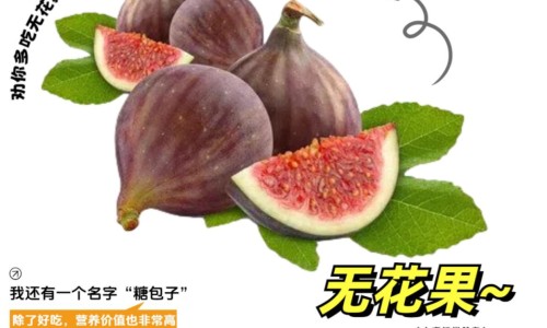 白桑椹能吃吗-白桑椹的功效网 | 白桑椹的功效和作用,白桑葚百度百科